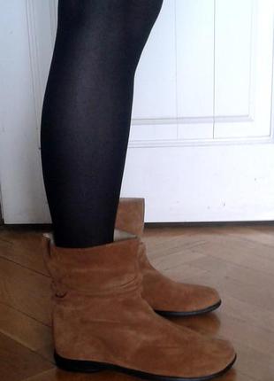 Півчобітки , замшеві , shelly's