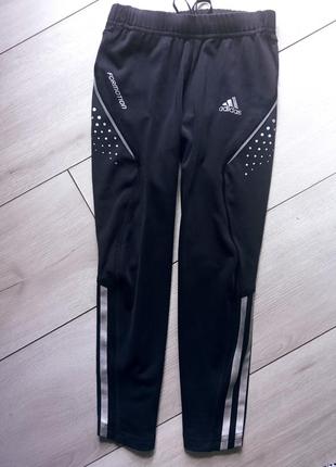 Шорты лосины adidas1 фото