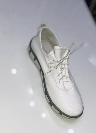 Кроссовки, кеды, мокасины mario muzi turkey