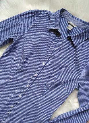 2 вещи по цене 1. белая приталенная блуза в синюю полоску h&m. размер s4 фото