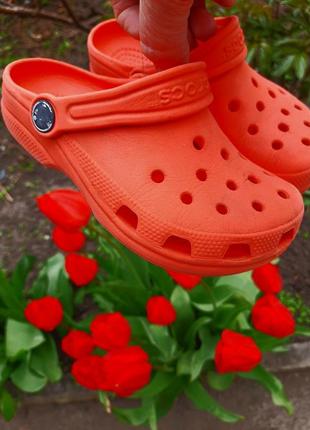 Оригінальні crocs