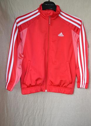 Adidas оригінал 126-130см