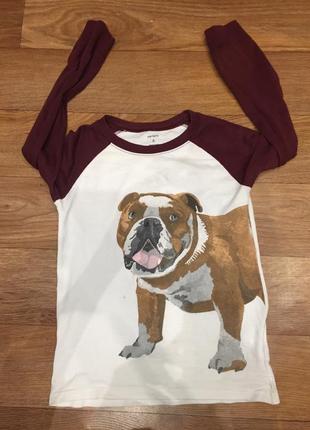 Реглан carter’s, р.6-7 лет