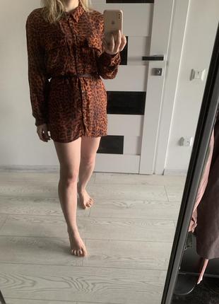 Сукня-сорочка з леопардовим принтом