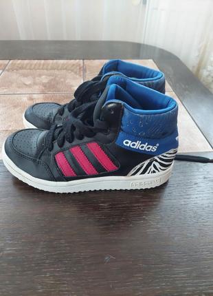 Кросовки adidas2 фото