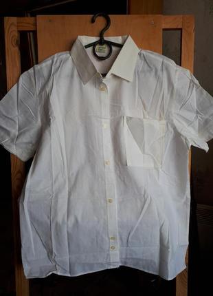 Чоловіча сорочка, класика. радянський бавовна.
