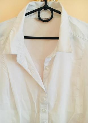 Батал большой размер белая офисная летняя блуза блузка блузочка рубашка3 фото