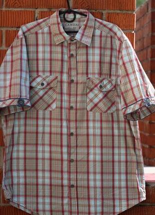 Стильная рубашка canda 52-54, ворот 41/42