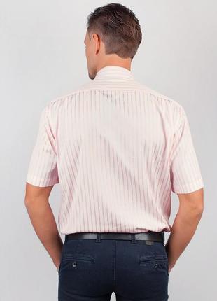 Светлая мужская рубашка с коротким рукавом2 фото