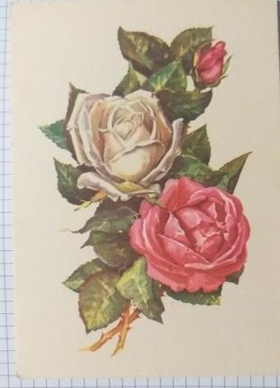 Открытка. раритет. 196?