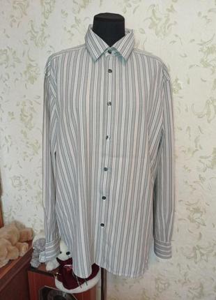 Рубашка autograph в полоску