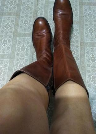 Сапоги осень -весна