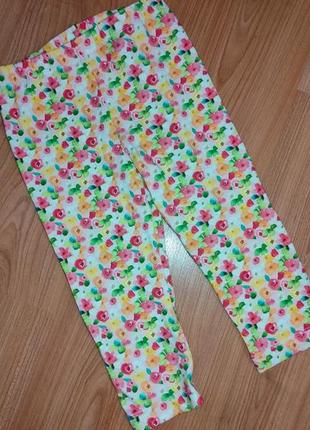 Яскраві лосини дівчинці