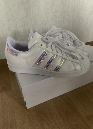 Кросівки adidas superstar