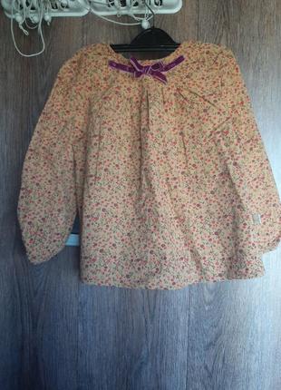 Блузка, туніка з микровельвета