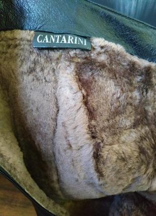 Сапоги кожаные зимние на цигейке cantarini узкий носок на квадратном каблуке5 фото
