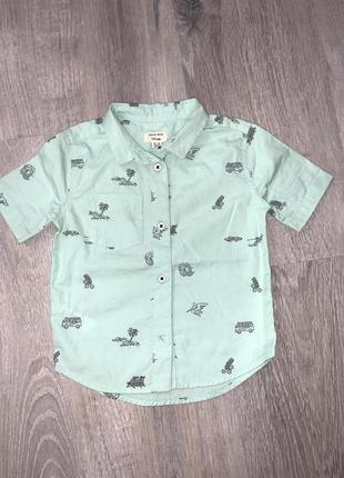 Сорочечка для хлопчика river island