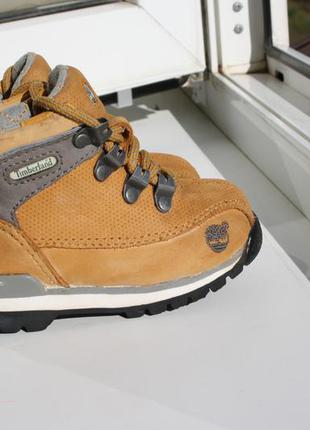 timberland 23