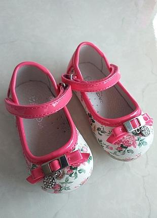 Туфли buddy dog