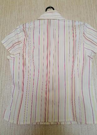 Блузка. sutherland . 2