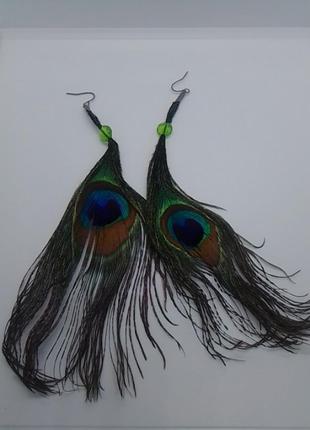 Сережки перо павича4 фото