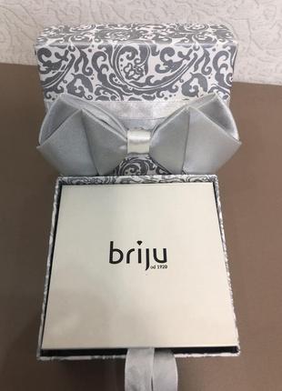 Серебренный набор briju (польша)