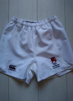 Спортивні шорти canterbury