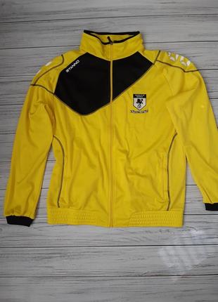 Чоловіча мастерка