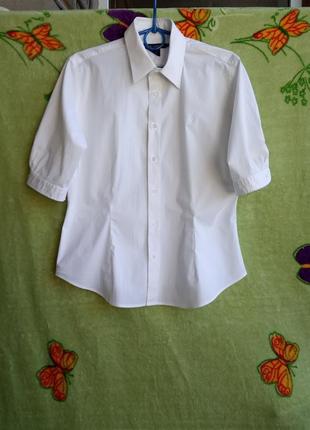 Блуза/рубашка ralph lauren1 фото