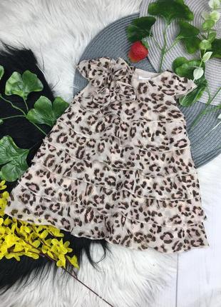 Леопардовое шифоновое платье на 0-3 мес