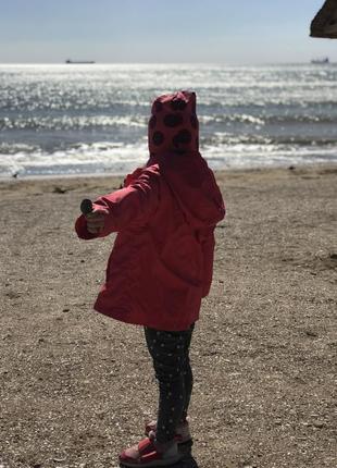 Куртка/вітрівка