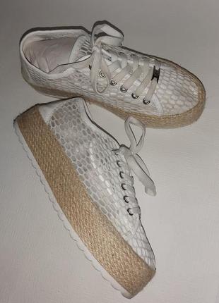 Кеди - еспадрільї