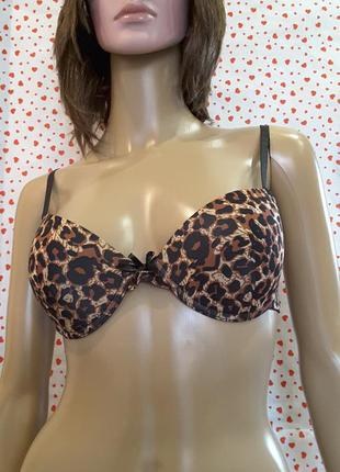 Push-up bra, 75 c, бюстгальтер, dolce bella, нидерланды