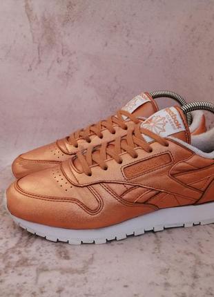 Кроссовки кожа reebok classic leather /club royal workout1 фото