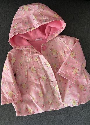 Вітровка, легка курточка