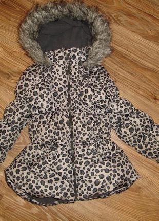 Теплая куртка на 5-6 лет, зимнее пальто от bhs утепленное, подкладка-флис2 фото