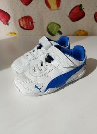 Кеды кроссовки puma1 фото