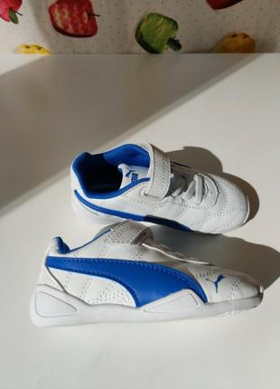 Кеды кроссовки puma3 фото