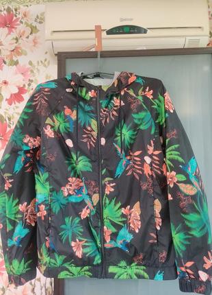 Дощовик вітровка