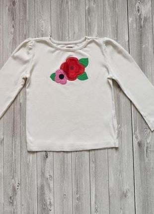 Реглан gymboree 4t з красивою об'ємної аплікацією
