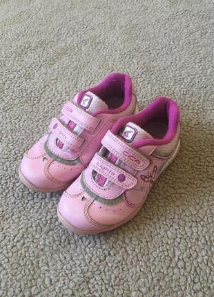 Кожаные clarks