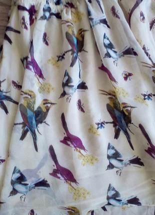Миле, чарівне, шифонова сукня з птахами 10 glamorous4 фото