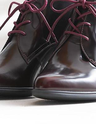 Clarks kadri alexa кожаные ботинки размер 37, 38, 39, 40, 41, 41.5 Clarks,  цена - 990 грн, #7833026, купить по доступной цене | Украина - Шафа