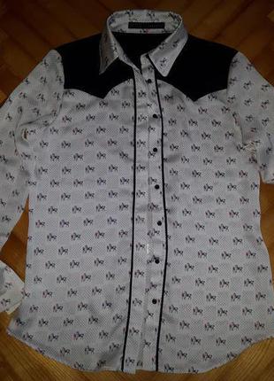 Шифоновая блуза в принт от zara! p.-s