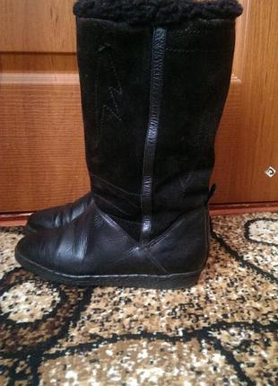 Сапоги натуральная кожа