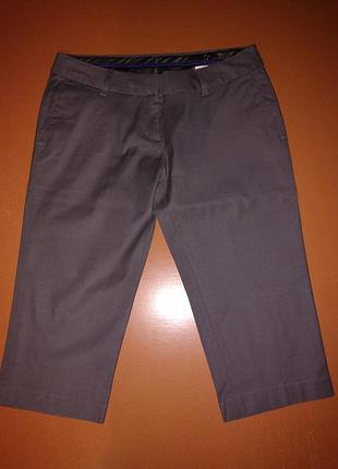 Новые бриджи