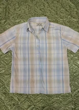 Сорочка прогулянкова