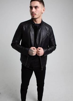 Шкірянка косуха 2