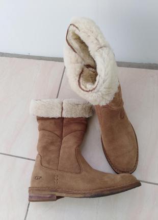 Сапоги ugg оригинал.