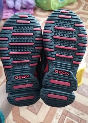 Дитячі кросівки geox 5